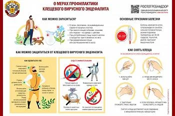 Что делать, если вас укусил клещ?