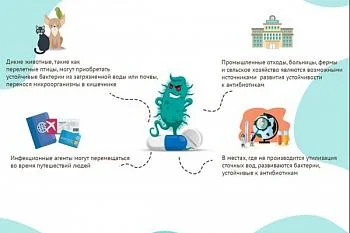 Антибиотикорезистентность: как ученые всего мира уже борются со следующей пандемией