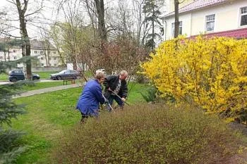 Медицинские организации региона провели месячник по благоустройству Медицинские организации региона провели месячник по благоустройству