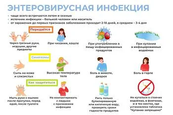 Профилактика энтеровирусной ифекции Профилактика энтеровирусной ифекции